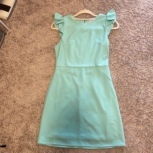 Pink Lily Mint Dress